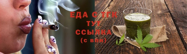 стаф Горняк